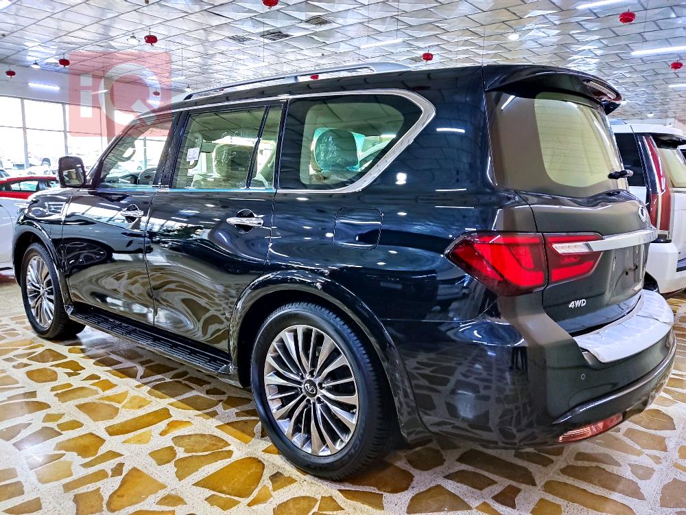 ئينفنتي QX80